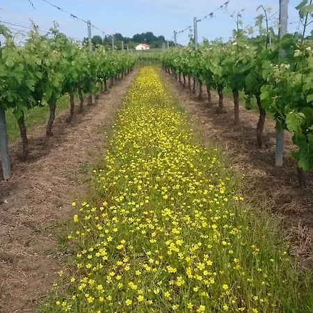 Chateau Laborde Caudalie
